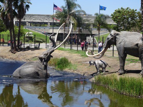 La Brea Tar Pits